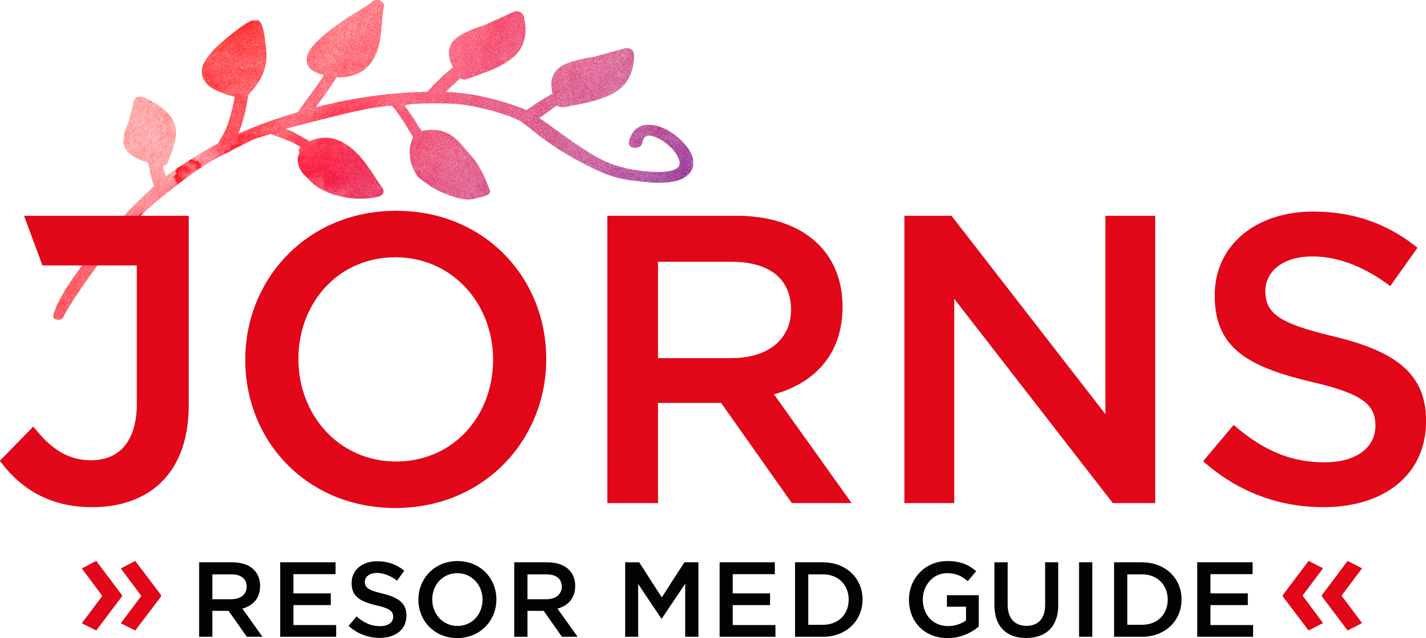 Logo: JÖRNS Resor