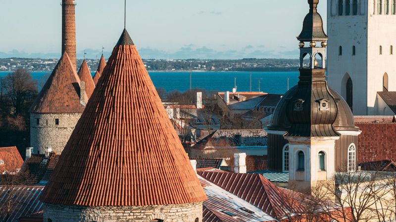 Vacker vy ver hustaken i Tallinn med Finska viken i bakgrunden. 